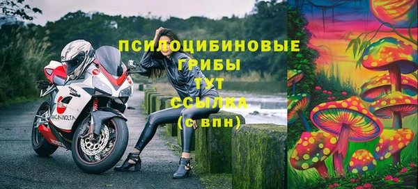 амфетамин Осинники