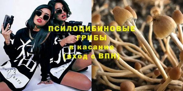 каннабис Осташков