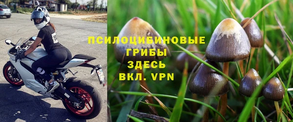 каннабис Осташков