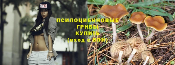 Альфа ПВП Остров